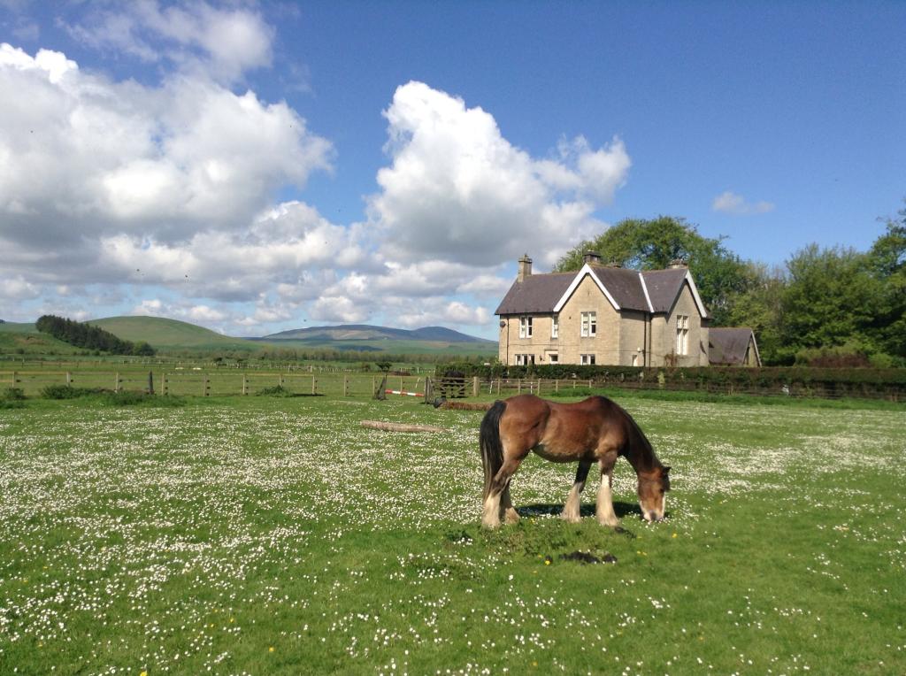 4 Bedroom Detached House Sold in Alnwick, NE66