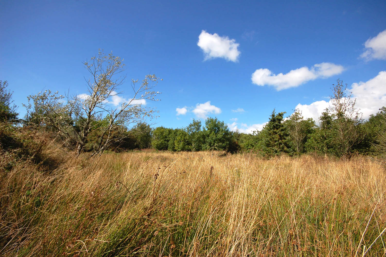 2 Bedroom Plot Sold in Bideford, EX39