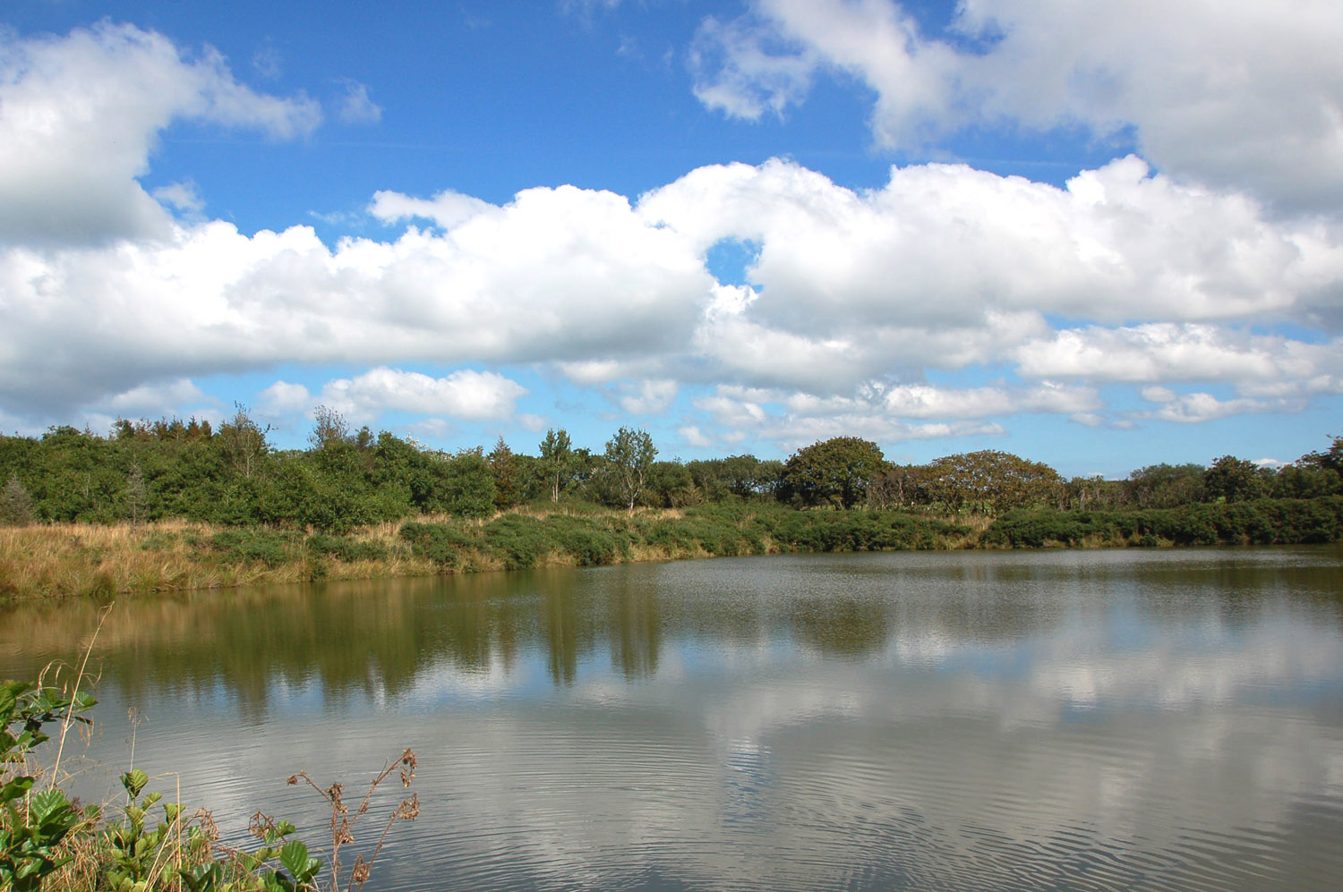 2 Bedroom Plot Sold in Bideford, EX39