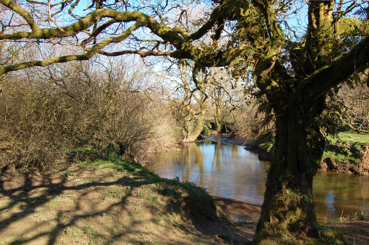 2 Bedroom Plot Sold in Bideford, EX39